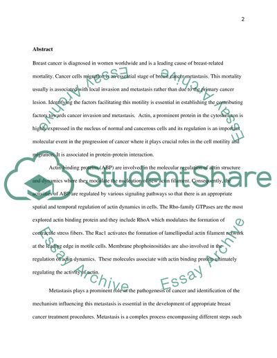 Breast Cancer in Women