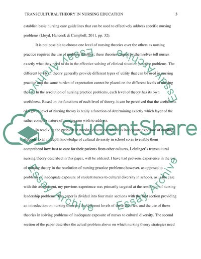 Application of Transcultural Theory in Nursing Education