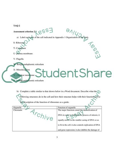 Organisation of the body