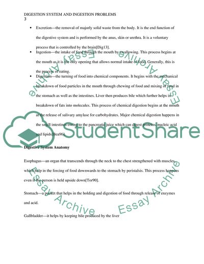 Digestion System and Subsequent Diseases and Problems