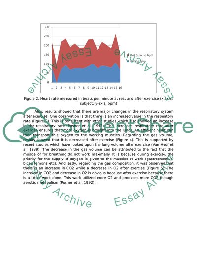 Cardiovascular System After Exercise