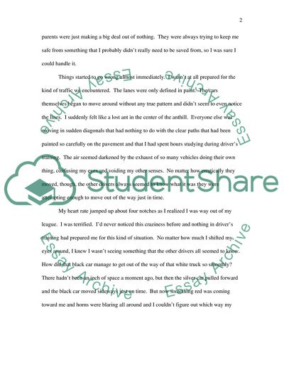 Drivers License: the Accident