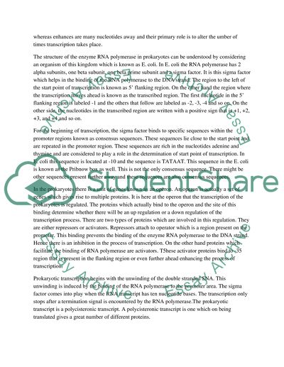The Transcription of Prokaryotic Cells and Eukaryota Cells