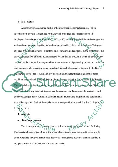 Advertising Principles and Strategy Report