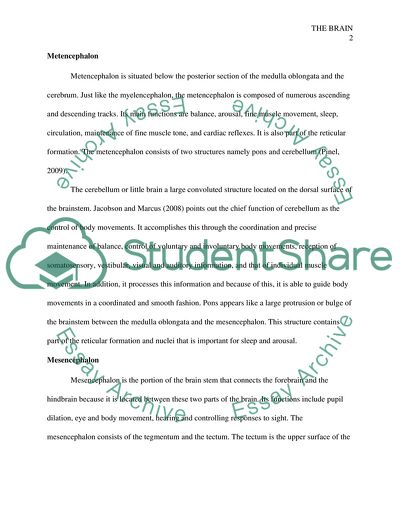 Five Main Structures of Human Brain