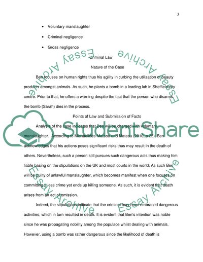 Manslaughter Case Analysis