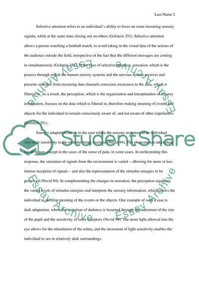 Social perception essay image