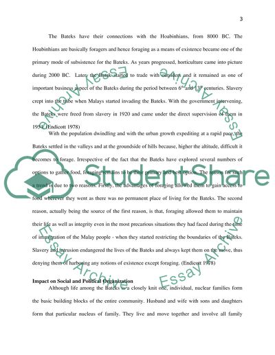 Bateks in Malaysia - the Way of Living and Sustenance