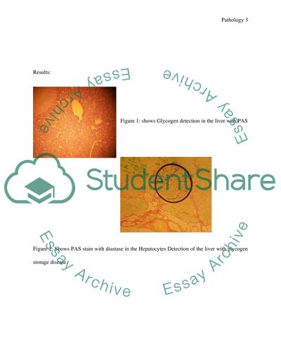 CELLULAR PATHOLOGY- Staining protocols
