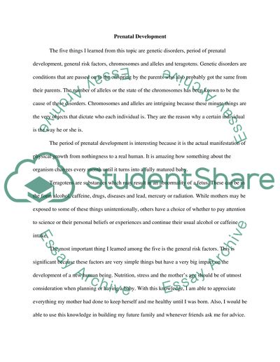 Prenatal Development Process