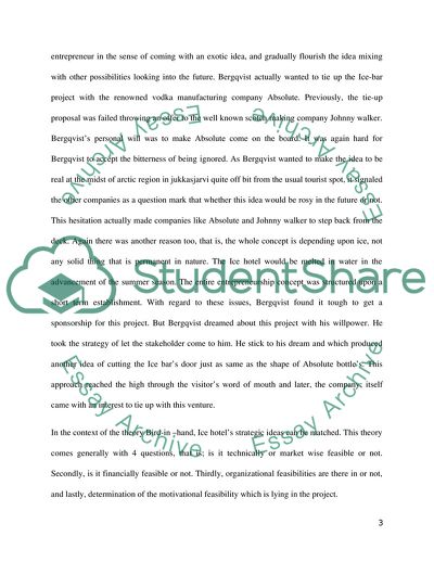 Effectuation and Causation Business Strategies