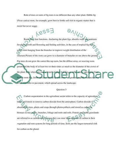Short Questions on the Environment