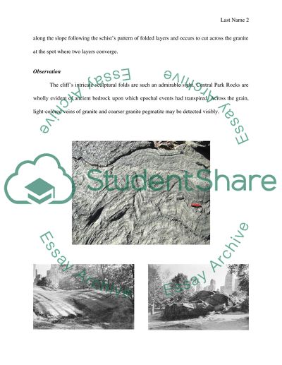 Rock Trails in Central Park