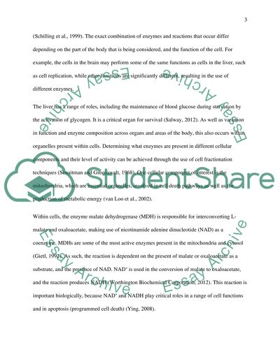 Malate Dehydrogenase Isoenzymes