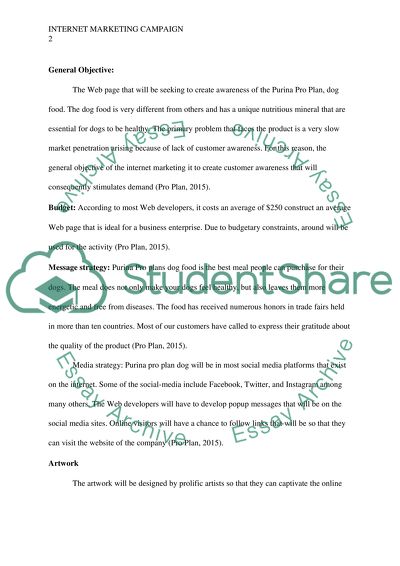 INTERNET MARKETING CAMPAIGN