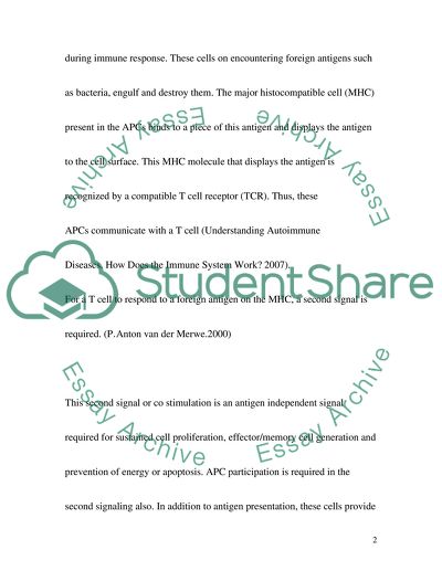Costimulatory activity of dendritic cells
