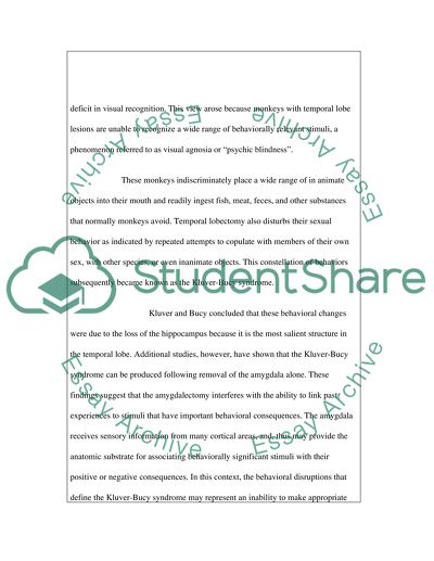 The Kluver-Bucy Syndrome