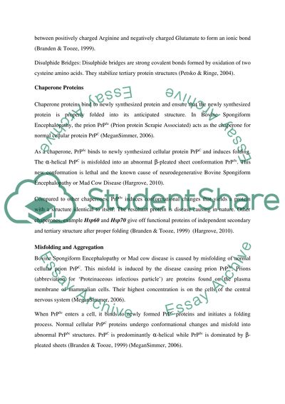 Understanding the Biochemistry of BSE