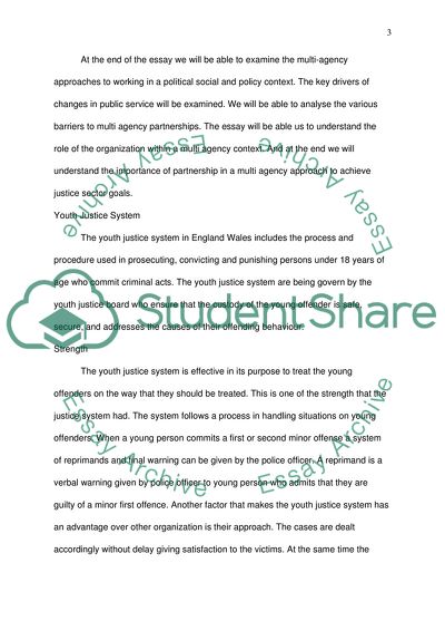 Youth Justice System and its Links to Multi-Agency Working Practices