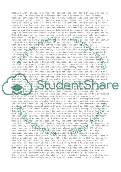 UN Millennium Development Goals