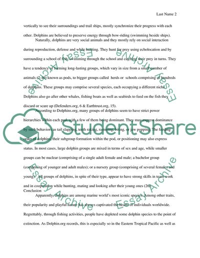 Marine mammals in captivity essay Marine mammals in captivity essay picture