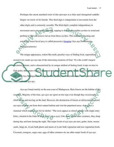 Features and Superstitions of Aye-Aye