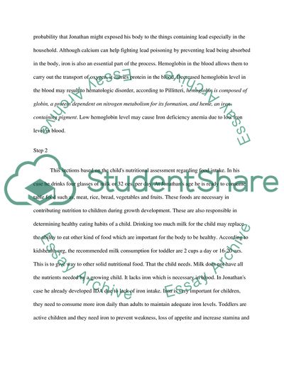 Diet for a Patient with Chronic Hunger, Iron Deficiency Anemia, and Lead Poisoning