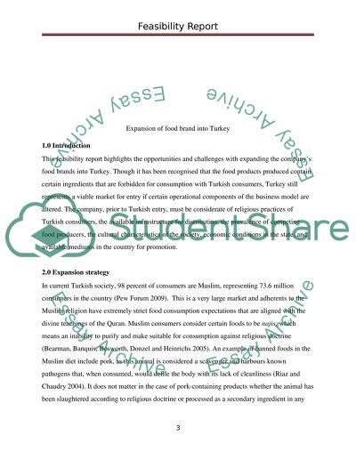 Marketing Across Cultures - Expansion of Food Brand into Turkey