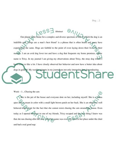 Observation Process of the Animal