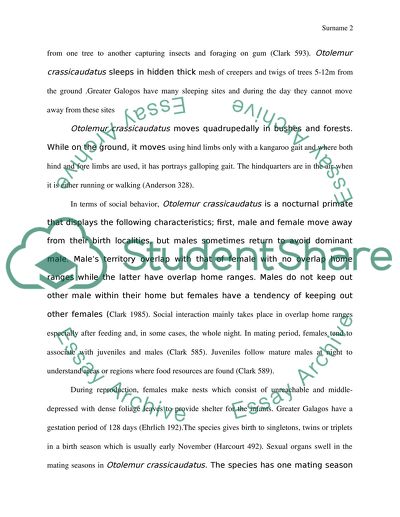 Report on Greater Galago