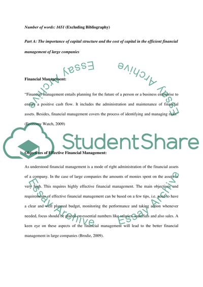 Analysis of the Structure and Cost of Capital