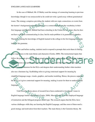 Analysis and Action Plan for a Middle School Teacher of English Language Learners