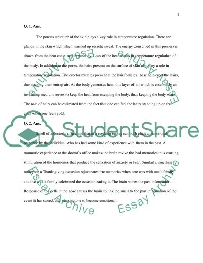 The Skins Role in Human Thermoregulation and Comfort