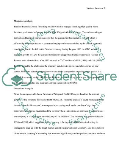 The Financial Analysis of Haefren Baum