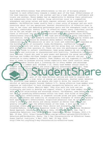 Build team effectiveness