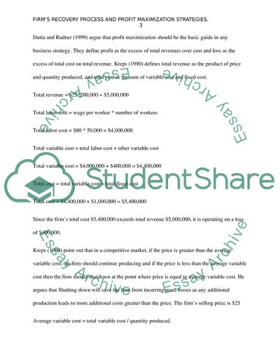 Firms Recovery Process and Profit Maximization Strategies