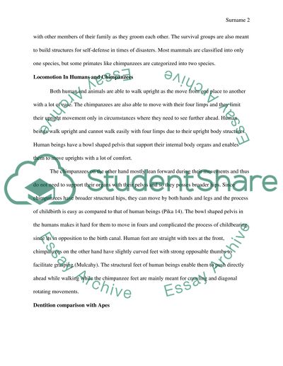Features that Distinguish Primates from other Mammals