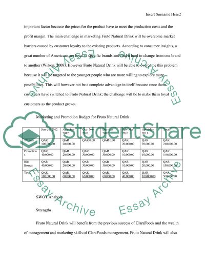 Marketing for Fruto Natural Drink