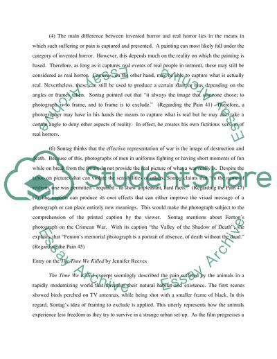 Entry on Susan Sontags Regarding the Pain of Others