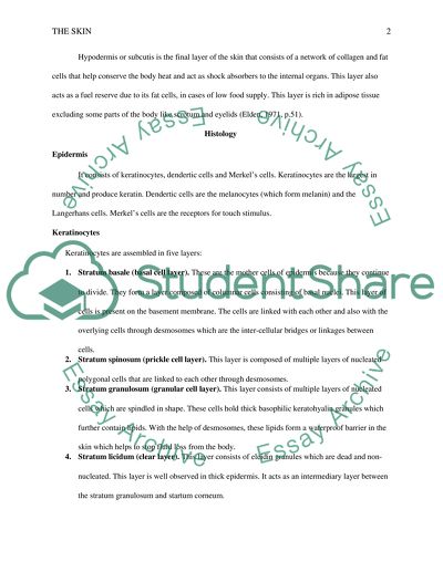 The Basic Structure of Skin Consists