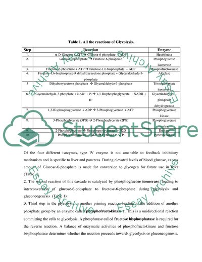 essay about cellular respiration