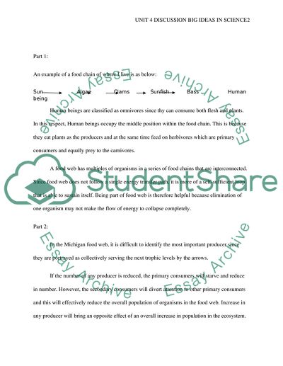 Unit 4 Discussion Big Ideas in science
