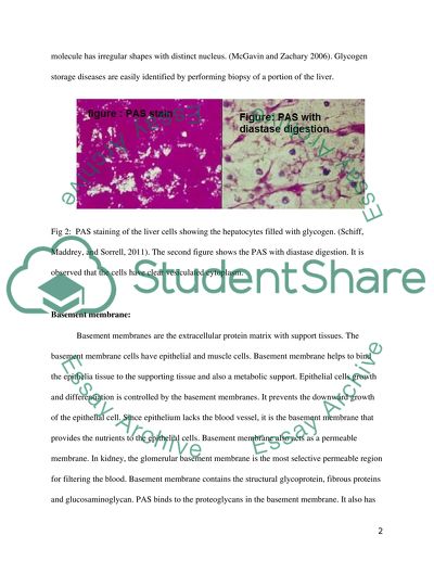 CELLULAR PATHOLOGY- Staining protocols