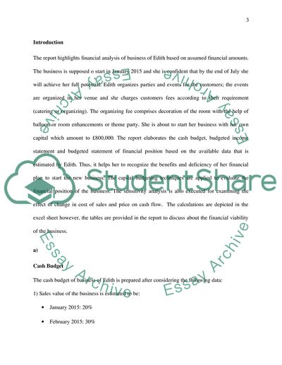Financial Analysis of Business Based on Assumed Financial Amounts