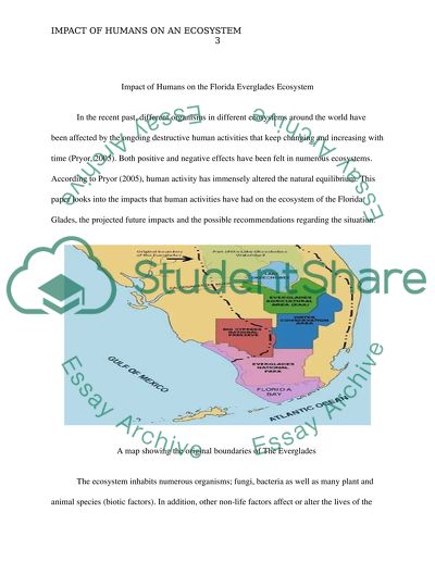 Impact of Humans on the Florida Everglades Ecosystem