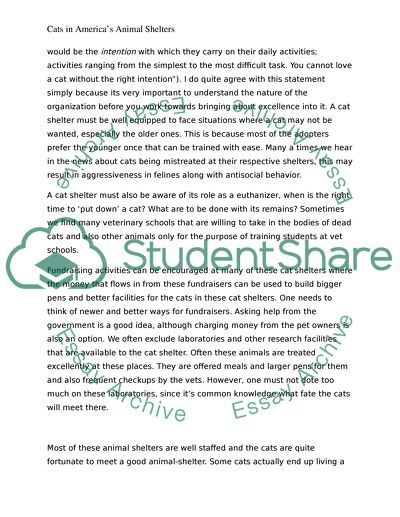 Cats in Animal Shelters