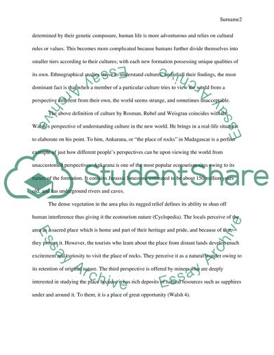 Variations in Interpretation of Culture