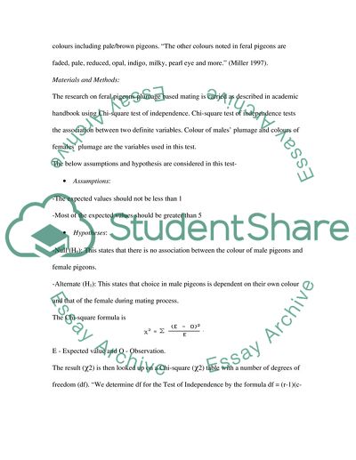 Mate choice & plumage polymorphism in the feral pigeon (Columba livia)