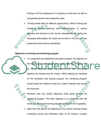 Development of a Training and Mentoring Program assignment as a