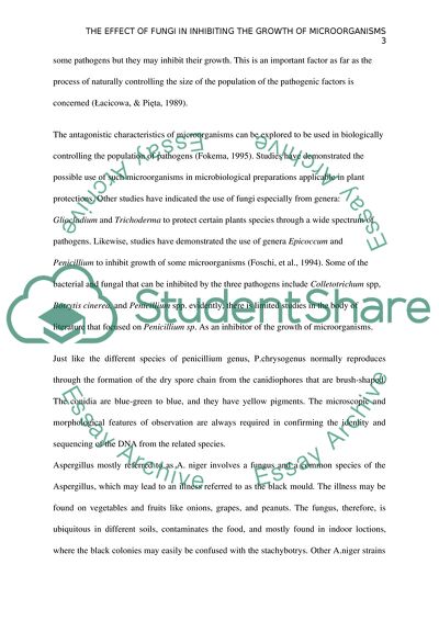 The Effect of Fungi In Inhibiting the Growth of Microorganisms